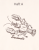 12.png